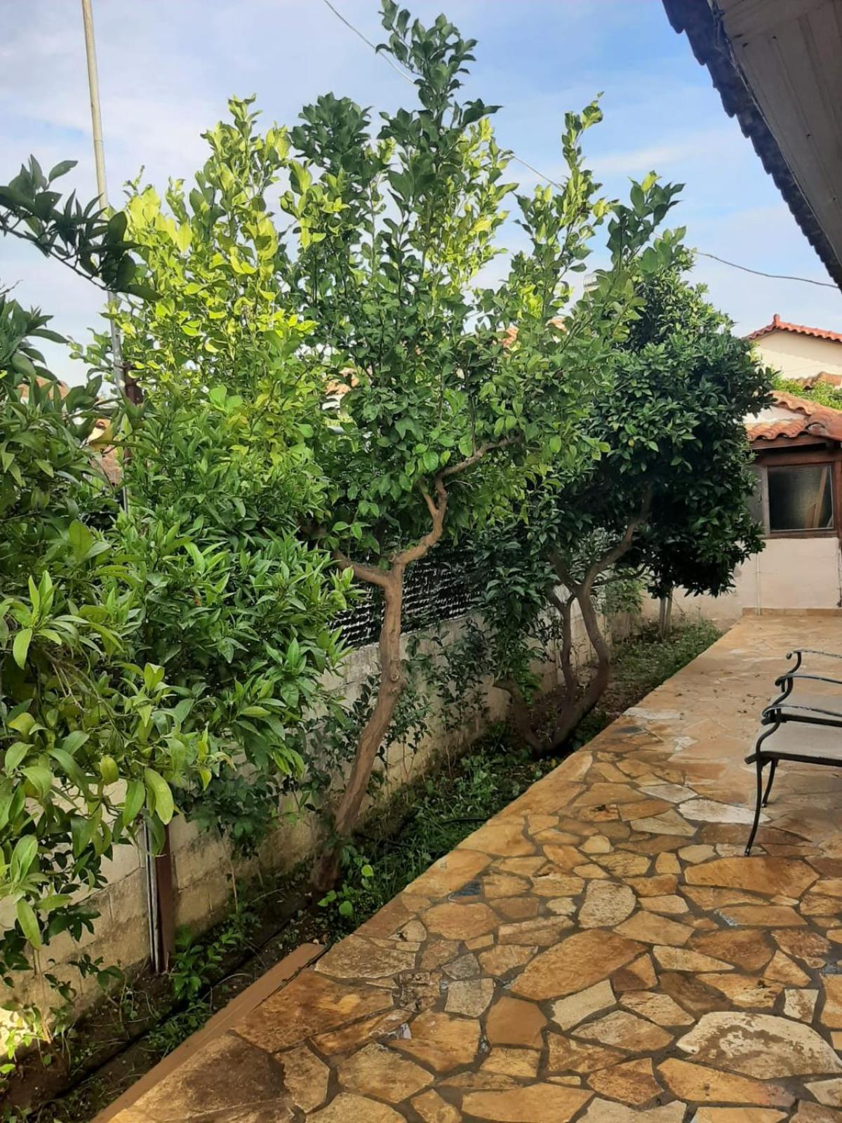 Tota'S Family House, 4 Min Walk To The Beach Levendokhorion Bagian luar foto